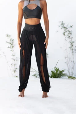 CXIX Snatched Mesh Make Moves Pants - Black 26 CXIX Snatched Mesh Make Moves Pants - Black -Lingerie Shop 9A4A26473030