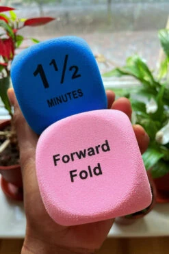 The Enviro Co. Pole Dice - Flexibility 12 The Enviro Co. Pole Dice - Flexibility -Lingerie Shop IMG 1878