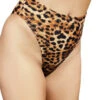 Cleo The Hurricane High Rider Hot Pants - Leopard -Lingerie Shop IMG 3303 1024x1024 9cdf218f ef76 4713 8c12 48981948e3ad