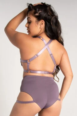 Tatiana Activewear Tokio Shorts - Mauve -Lingerie Shop TatianaActive TokioMauveStrappyGarterPoleWearSet 1295