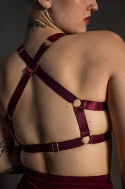 Tatiana Activewear Tokio Top - Wine -Lingerie Shop TatianaActive TokioWineRedBurgundyHighWaistedPoleWearDancingSet 5215