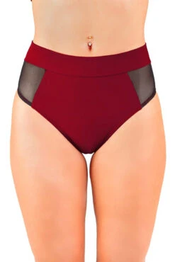 Dragonfly Molly Shorts - Burgundy Mesh -Lingerie Shop msr1