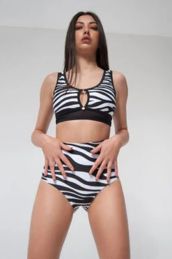 Pole Addict High Waisted Shorts - Zebra 7 Pole Addict High Waisted Shorts - Zebra -Lingerie Shop zebra1