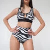 Pole Addict High Waisted Shorts - Zebra -Lingerie Shop zebra2